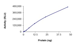 Sino Biological&nbsp;Recombinant Human ALK Protein (L1196M, G1202R, GST Tag), Active